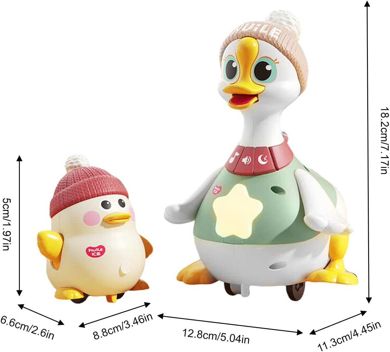 Canard qui marche