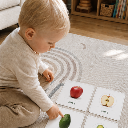 5-in-1 Montessori Frühförderungs-Set | Emotionen, Klassifizierung, Kunst, Ordnung & Entdecken