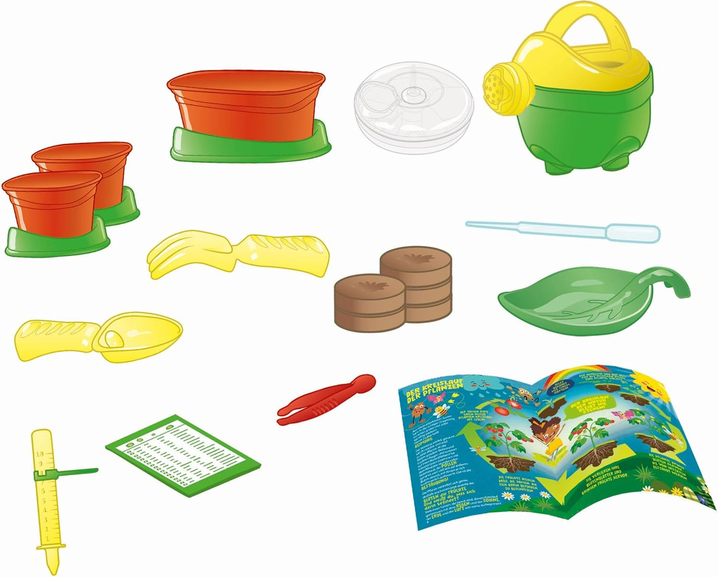 Botanik-Spielzeug für Kinder