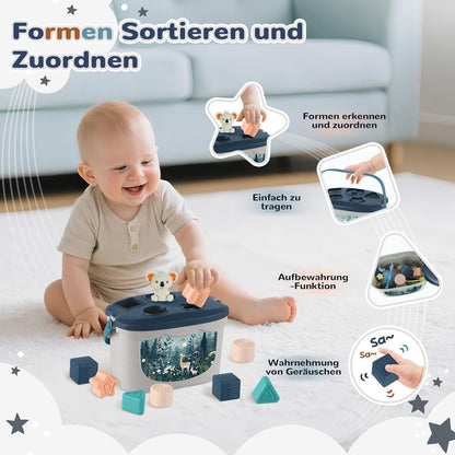 Jouet sensoriel Montessori 5-en-1 dès 6 mois – Boîte de tri, xylophone et gobelets empilables