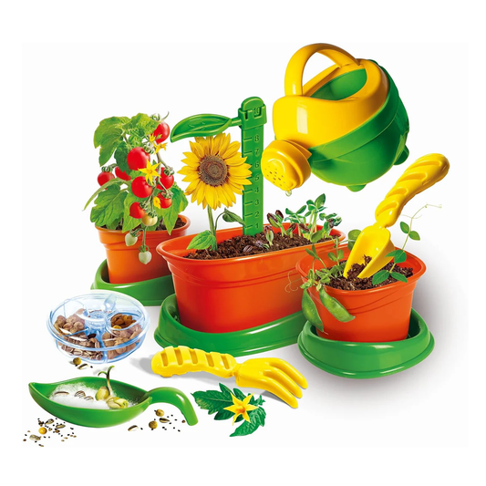 Botanik-Spielzeug für Kinder